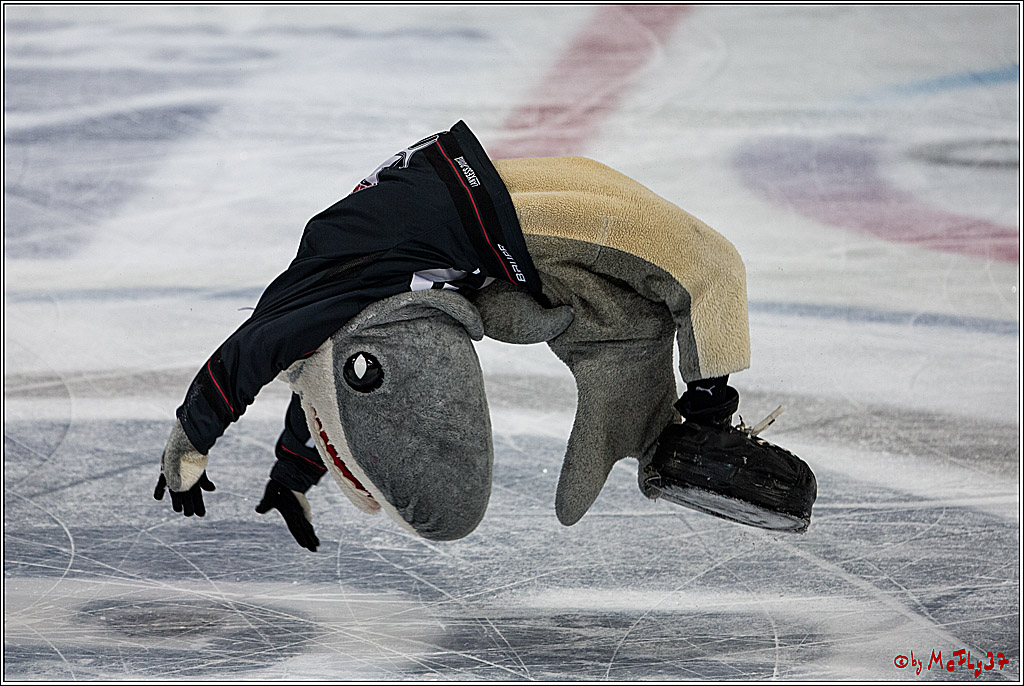 DEL, Koelner Haie - Augsburger Panther, 13.01.2017